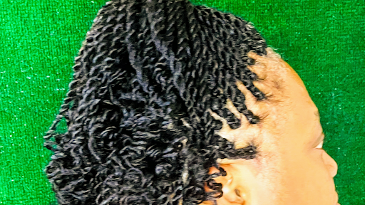 Stellus Braids - Visual