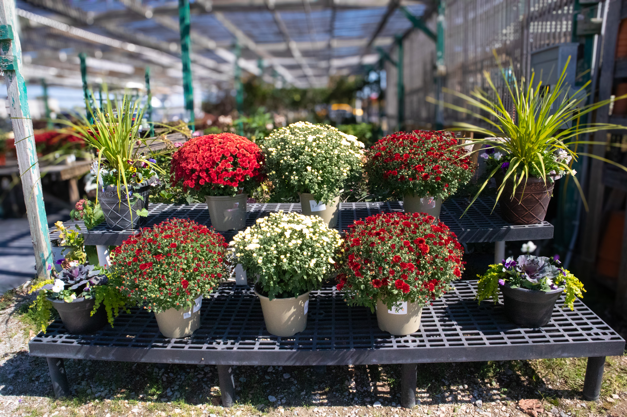 Rockwell Farms Nursery