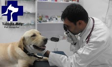 Tampa Bay Pet Hospital islamabad