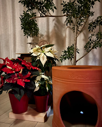 黄土漢方よもぎ蒸し サロン温おくり