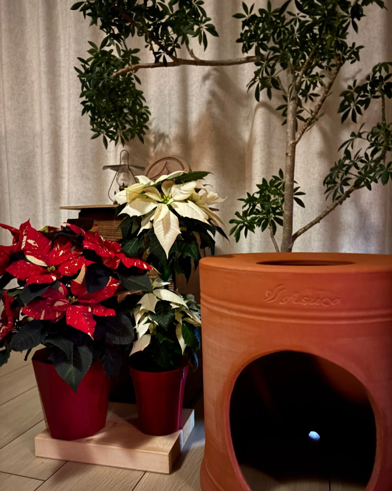 黄土漢方よもぎ蒸し サロン温おくり