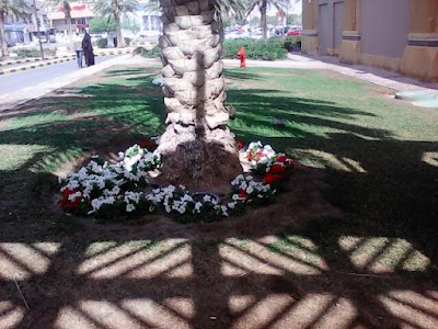 Photos of Kohinoorapartments