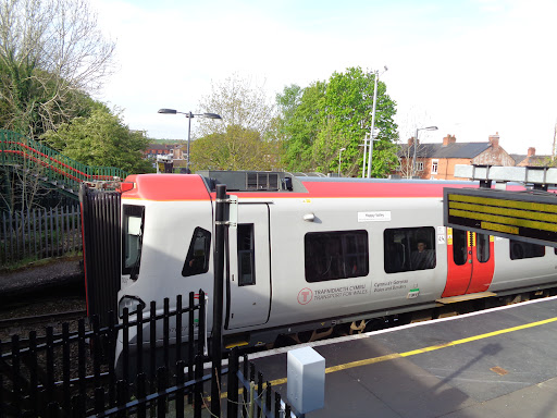 Shotton - Visual