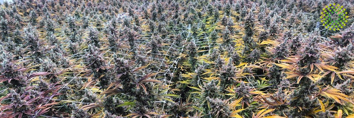 Trulieve Palm Beach Gardens Dispensary