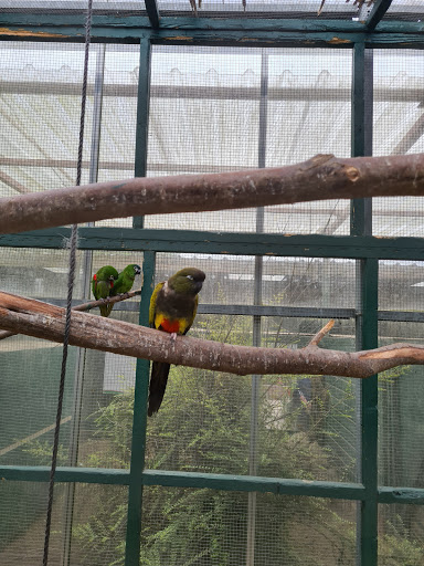 Alcorn's Flower & Garden Centre - Thumbnail