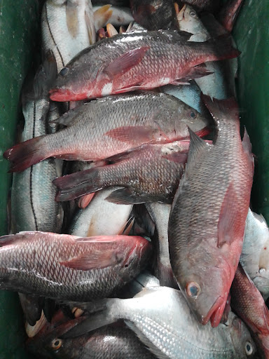 pescaderia "Barron" - Thumbnail