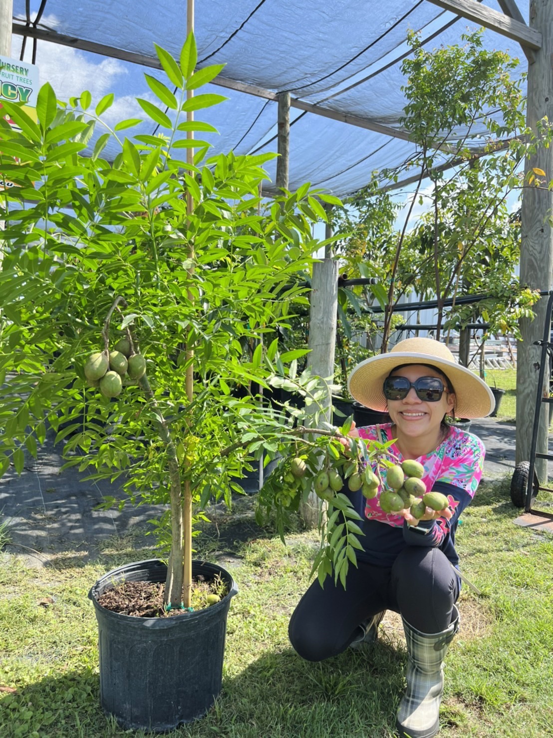 Somboun Nursery
