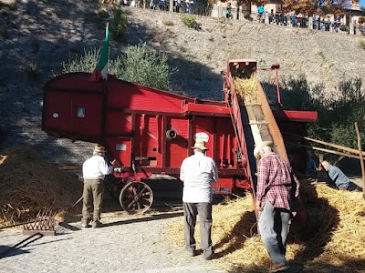 Photos of Comune Di Montegridolfo
