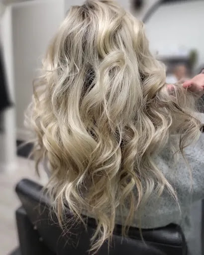 Chic Roots - Visual