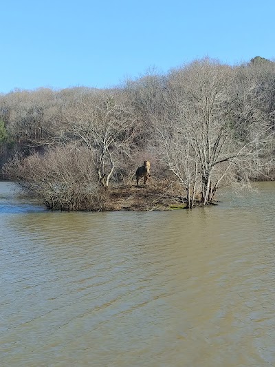 Mulberry Park Fishing Pier