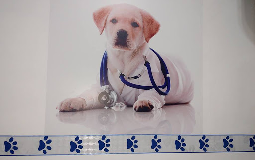 Golden Pets, Veterinaria, Estética y Boutique
