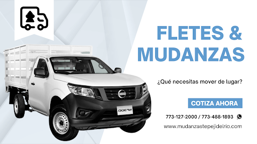 Mudanzas Tepeji del Río