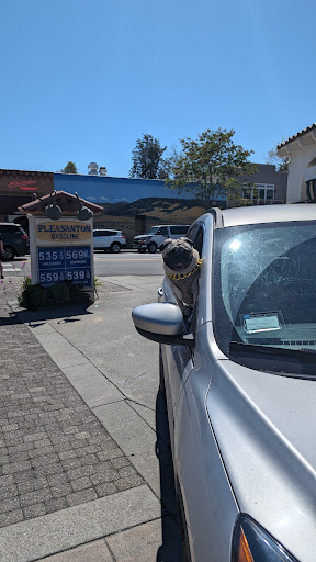 Pleasanton Gas Station - Thumbnail
