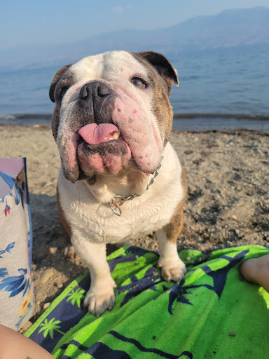 Sunshine Pet Supplies - Thumbnail