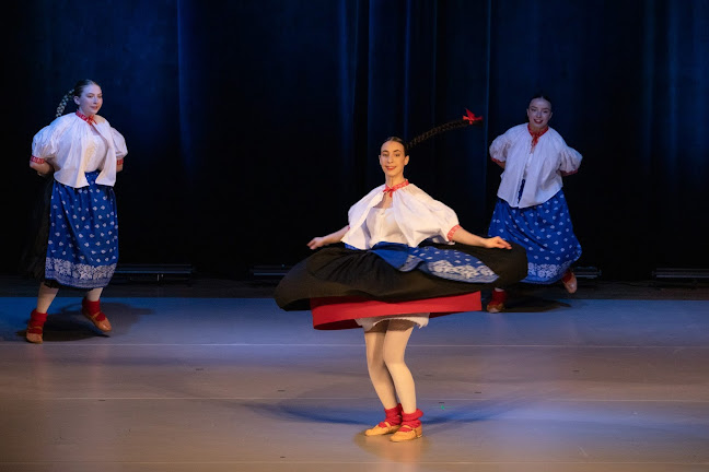 Niepubliczna Szkoła Baletowa Szkoła Sztuki Tańca Arabesque - Szkoła