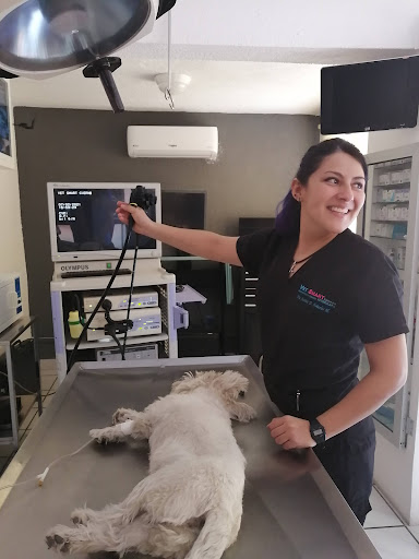 Vet Smart Cuernavaca diagnóstico y cirugía veterinaria