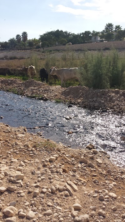 Photos of פארק סרן דב