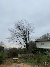 Photo n°4 de L'Ecureuil Perché à Diémoz (Paysagiste)