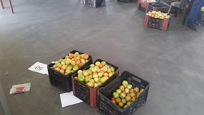 Photos of Ikhwezi Vegetable & Poultry Cooperative