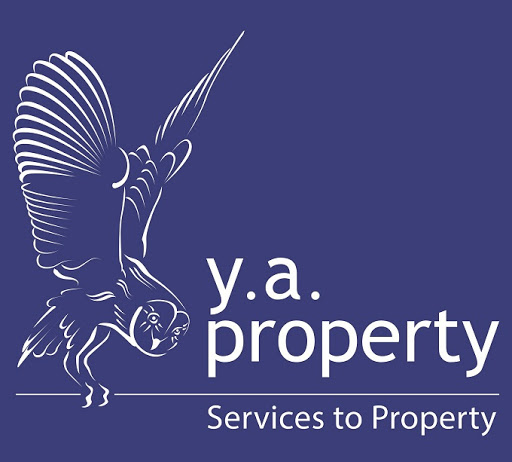 YA Property - Visual