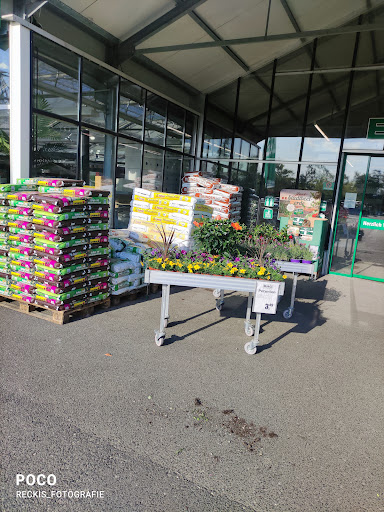 BHG Handelszentren - Baumarkt und Gartencenter - Thumbnail