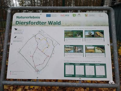 Deutscher Sporthund Verein Wesel Am Jäger 1955 e.V. Bislicher Wald, 46487 Wesel, Deutschland