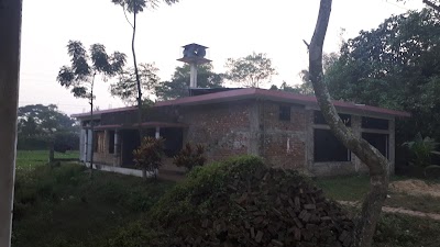 Photos of উঃ মোহাম্মদপুর বাইতুল আমান জামে মসজিদ