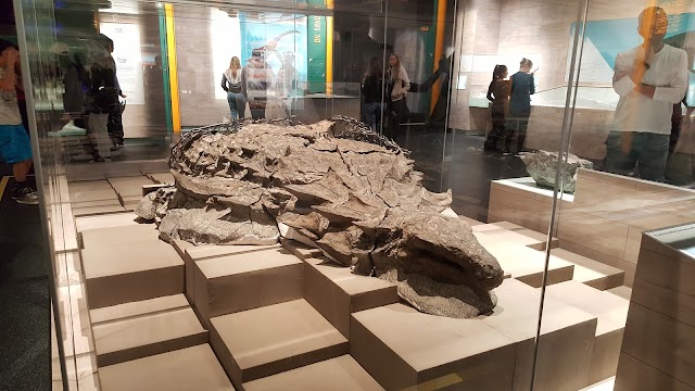 Royal Tyrrell Museum