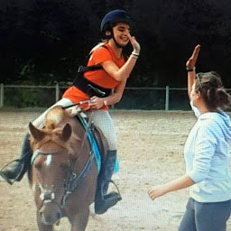 Photo n°9 de Les Ecuries de La Perchais à Montreuil-en-Touraine (Promenade)