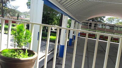 Photos of Cbtis 16