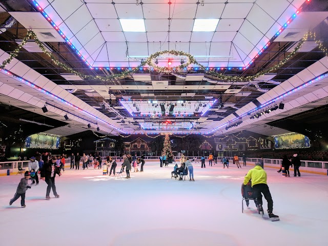 Snoopy's Home Ice