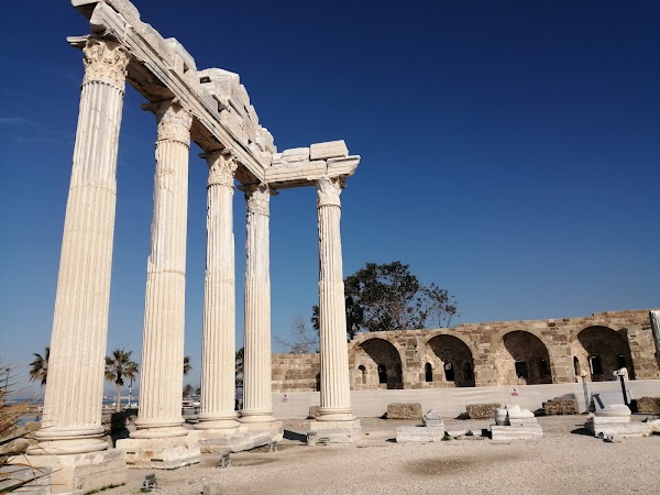 Viajar a https://lh3.googleusercontent.com/p/AF1QipNatC8KvvZos3vVBEKj7DYFJC_i3xOOEuoZ2ru_=s1600-w600