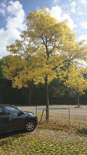 Parkplatz Angerbad / Freibad