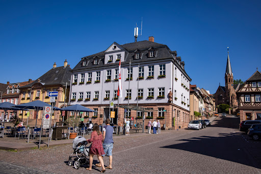 Tourist Information DREI AM MAIN - Stadtführungen in Miltenberg - Thumbnail