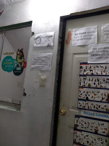 Veterinaria Gallery - United States