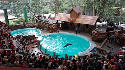 Photos of Taman Safari Cisarua