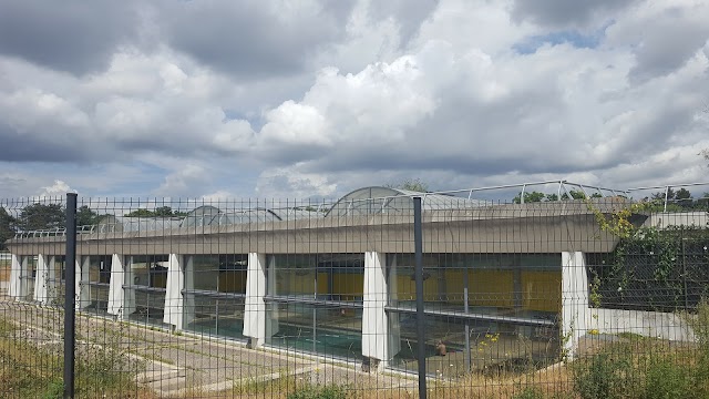 Piscine d'Auteuil