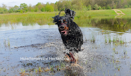 Huisdierservice Herkenbosch - Thumbnail