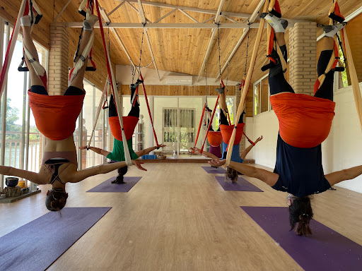 Yoga - Aranjuez - Thumbnail