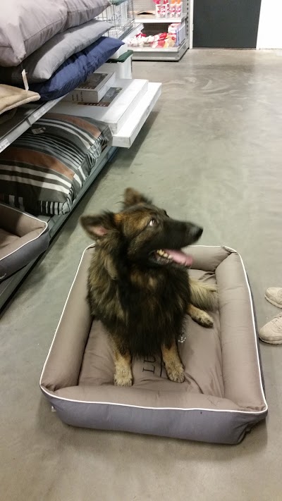 pet-store