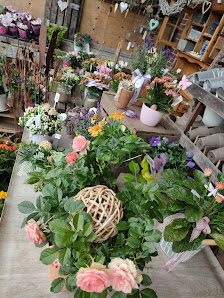 Hofladen Moje Ritscher Str. 7, 21706 Drochtersen, Deutschland