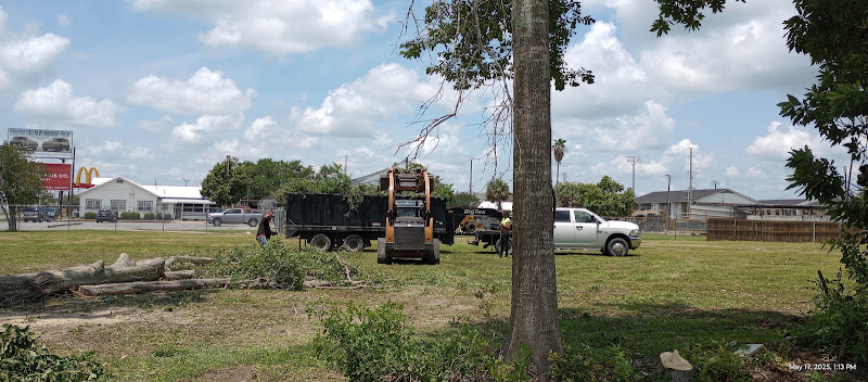Allstate Tree Service