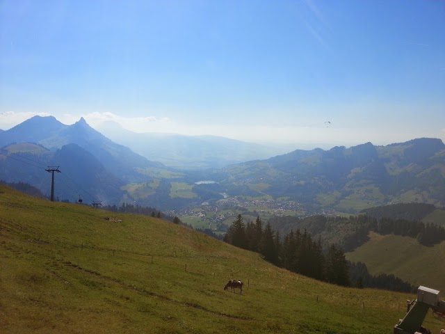 Télécabine Charmey-Les Dents-Vertes, en Gruyère S.A.