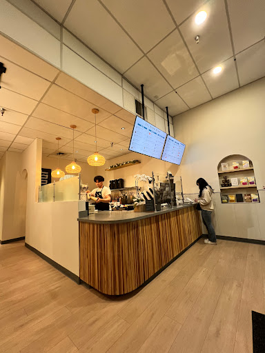 Sol Boba - Visual