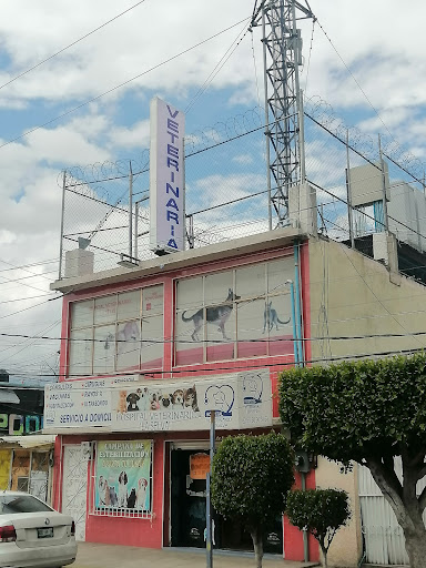 Hospital Veterinario La Selva