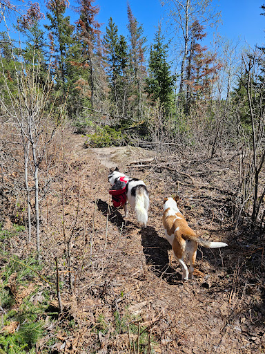 Pearson wetlands Trail