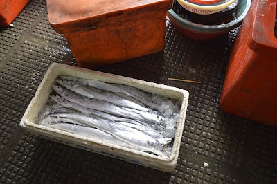Photos of Thai Hout