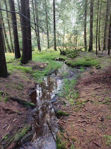 Hähnleinsbrunnen - Visual
