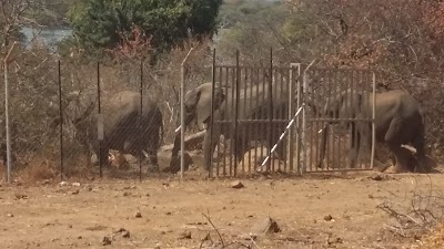 Photos of Impalila Conservancy