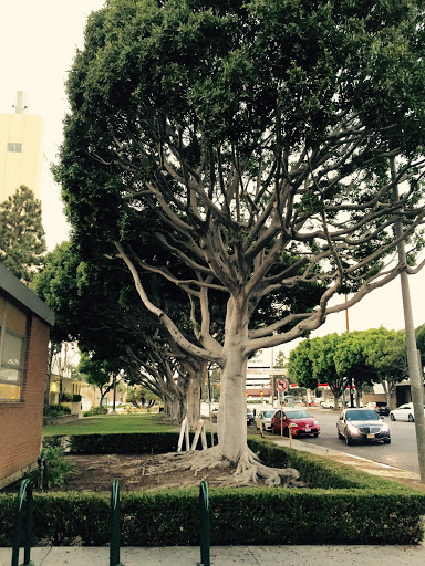 Culver City Teen Center - Thumbnail